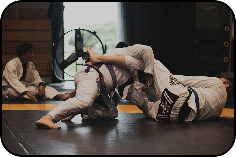 Fundo Jiu-Jitsu